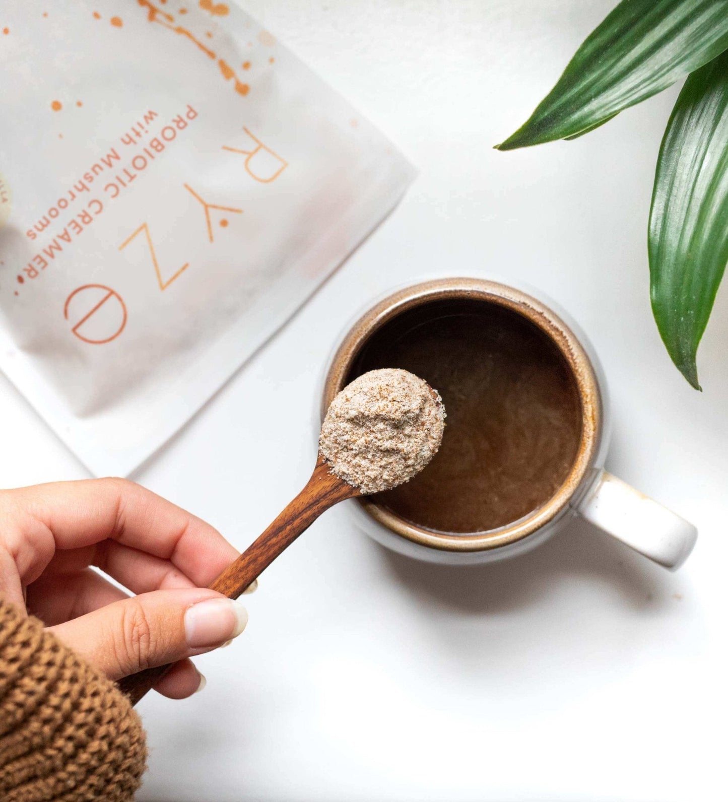Try our Probiotic Creamer for 50% OFF S9