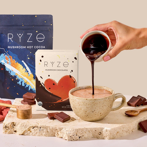 Chocolate Indulgence Bundle B3