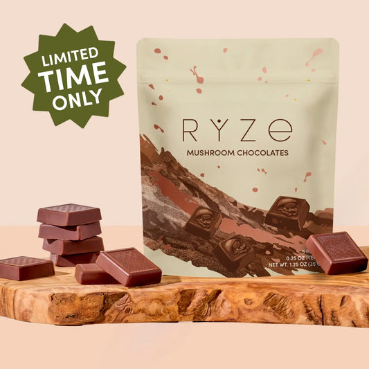 Mushroom Chocolates Rye (15 pieces) T9