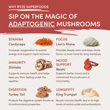 Mushroom Chai Starter Bag Y7