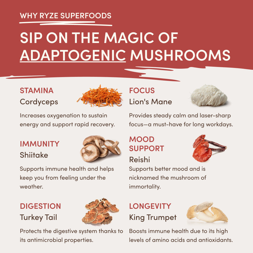 Mushroom Chai Starter Bag Y7