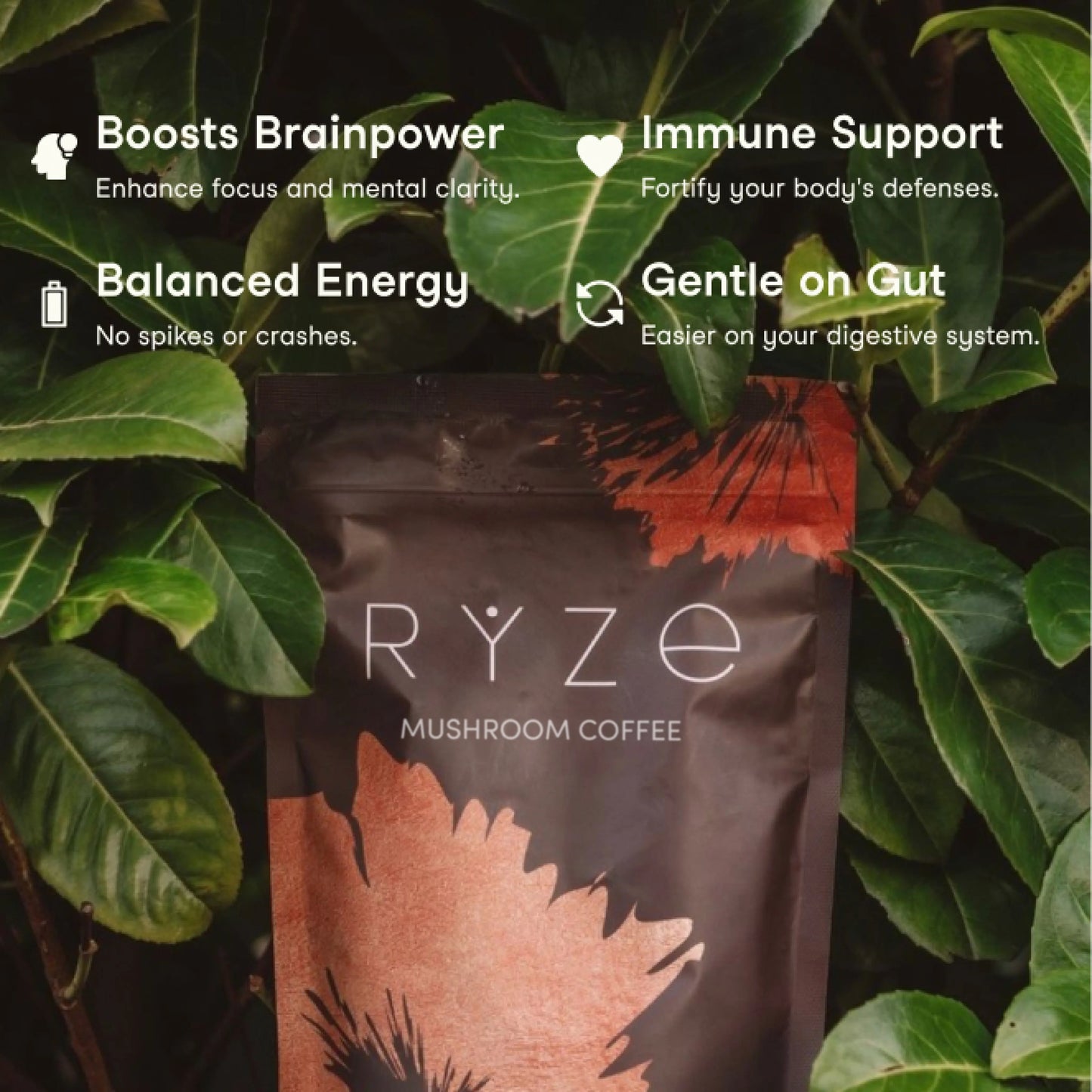 Mushroom Coffee - Organic Instant Coffee with Cordyceps & Reishi, 30 Servings Q1