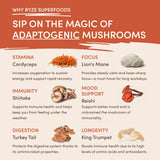 Mushroom Coffee - Organic Instant Coffee with Cordyceps & Reishi, 30 Servings Q1