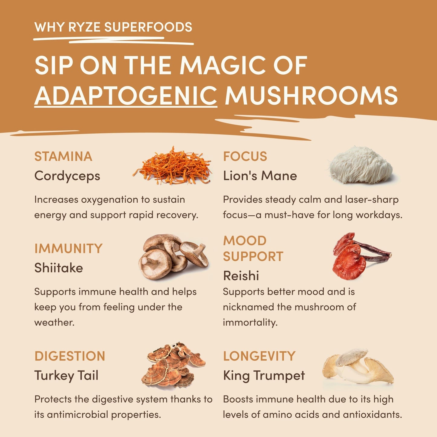 Mushroom Overnight Oats (14 Servings) I1