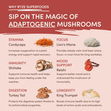 Mushroom Chai (20 Servings) Z8