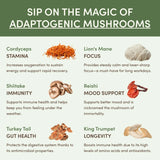 Mushroom Matcha Starter Kit (60 Servings) M4