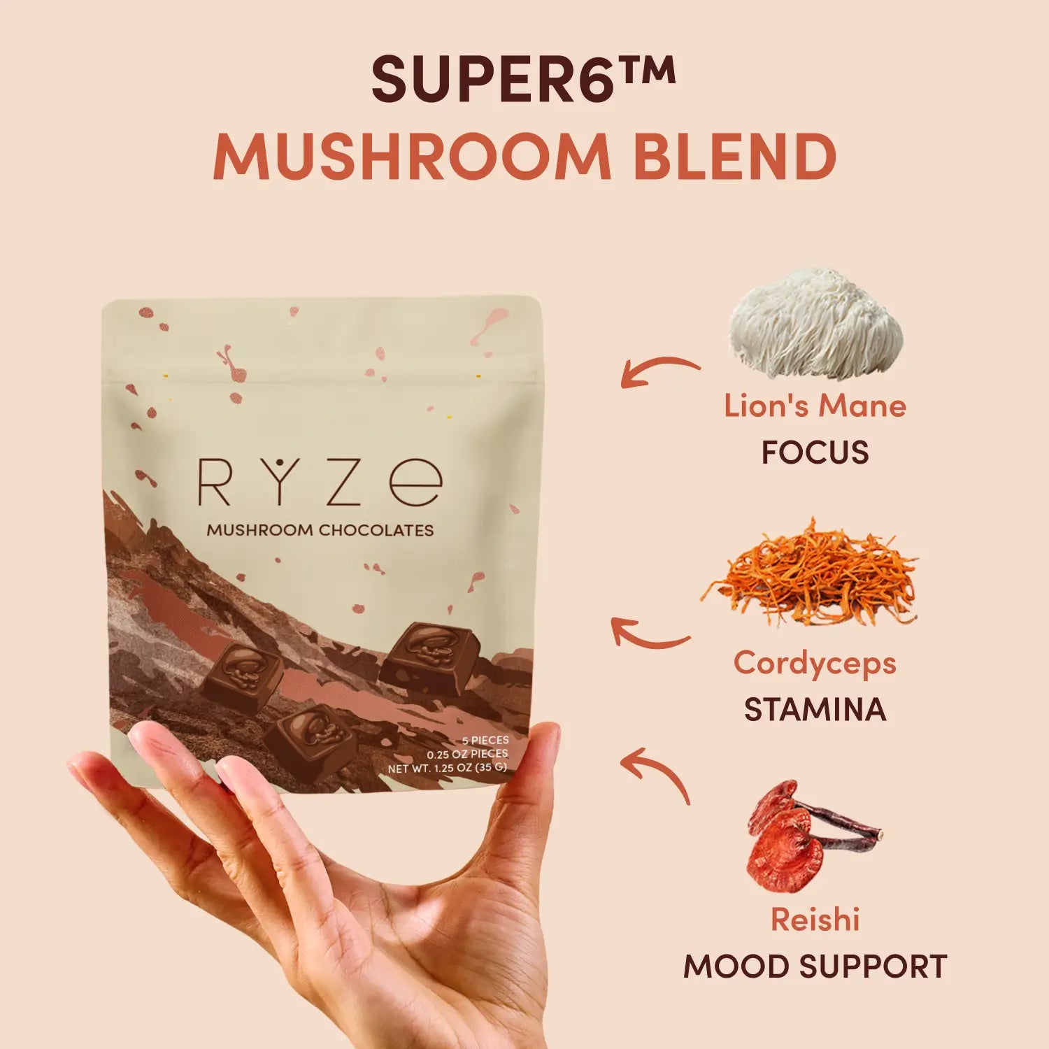 Mushroom Chocolates Rye (15 pieces) T9
