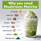 Mushroom Matcha - with 6 Organic Adaptogenic Mushrooms Grown In USA and Ceremonial-Grade Japanese Matcha C5
