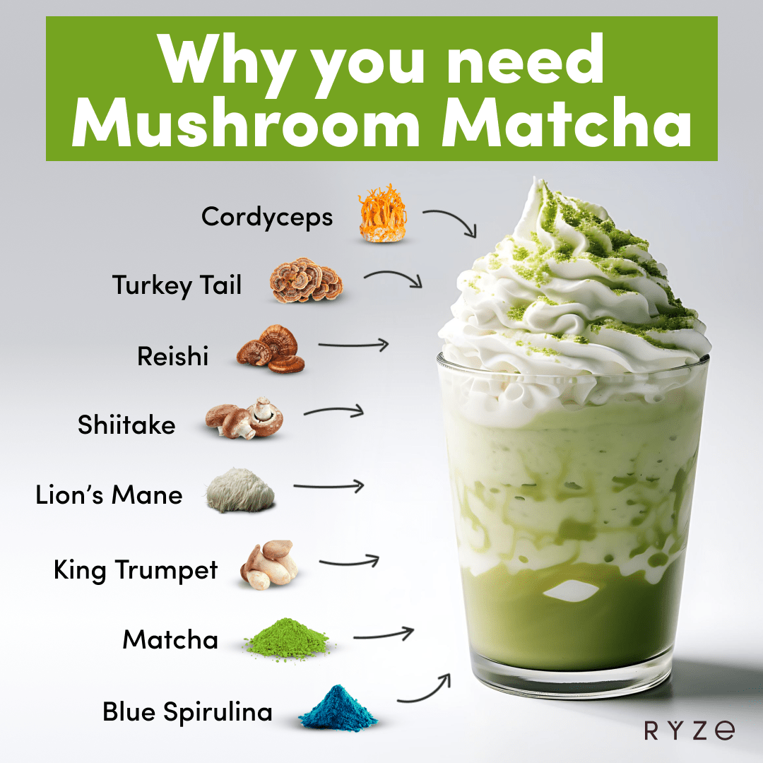 Mushroom Matcha - with 6 Organic Adaptogenic Mushrooms Grown In USA and Ceremonial-Grade Japanese Matcha C5