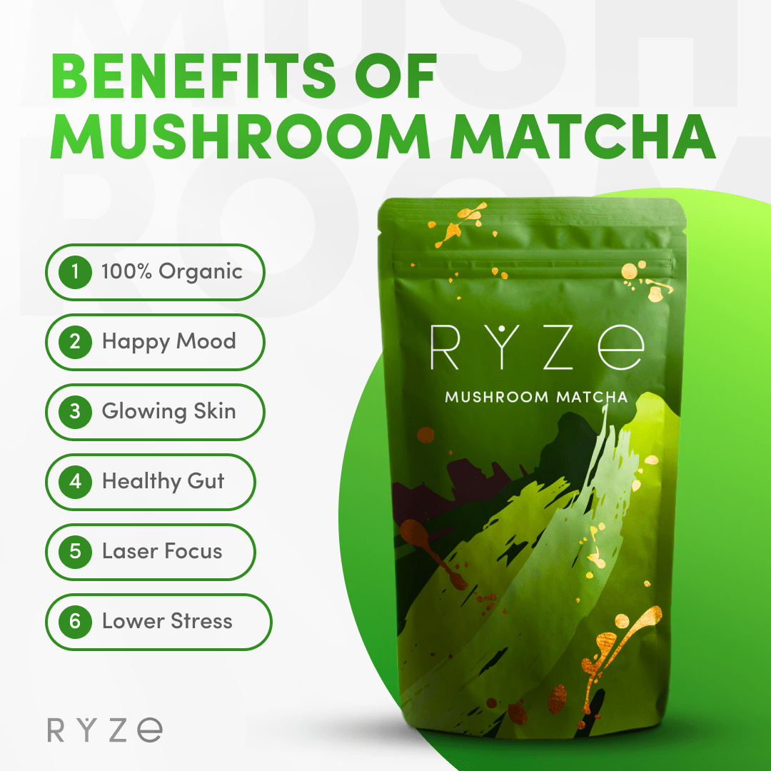 Mushroom Matcha - with 6 Organic Adaptogenic Mushrooms Grown In USA and Ceremonial-Grade Japanese Matcha C5