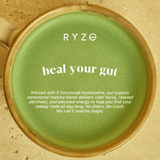 Mushroom Matcha - with 6 Organic Adaptogenic Mushrooms Grown In USA and Ceremonial-Grade Japanese Matcha C5