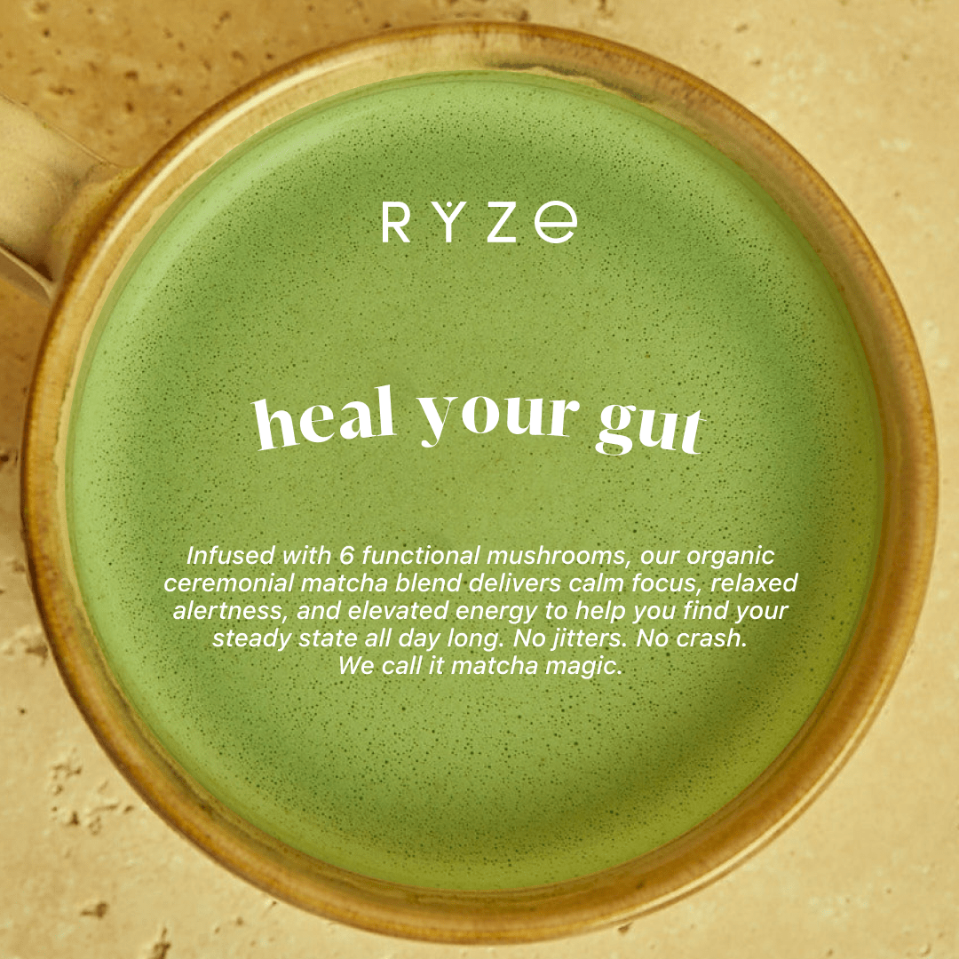 Mushroom Matcha - with 6 Organic Adaptogenic Mushrooms Grown In USA and Ceremonial-Grade Japanese Matcha C5
